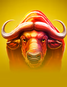 Buffalo Hold and Win Extreme-game-img