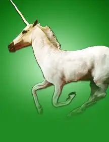 Wild Unicorns-game-img