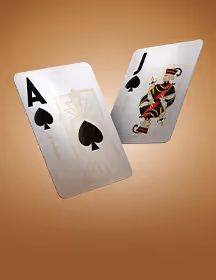Blackjack Single Hand-game-img