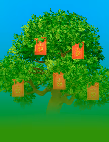 Tree of Fortune-game-img