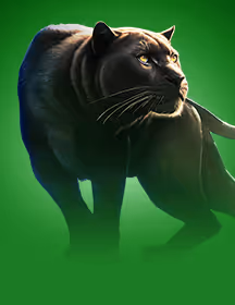 Mighty Wild: Panther Grand Gold Edition-game-img