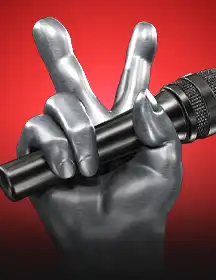 The Voice Pick-game-img